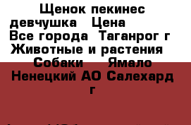 Щенок пекинес девчушка › Цена ­ 2 500 - Все города, Таганрог г. Животные и растения » Собаки   . Ямало-Ненецкий АО,Салехард г.